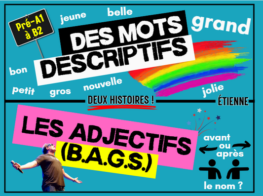 DES MOTS DESCRIPTIFS - ÉTIENNE Series- IC Reader - Single copy or Class sets of 20 or 30 with FULL FOREVER PLATFORM ACCESS INCLUDED ($135 value)