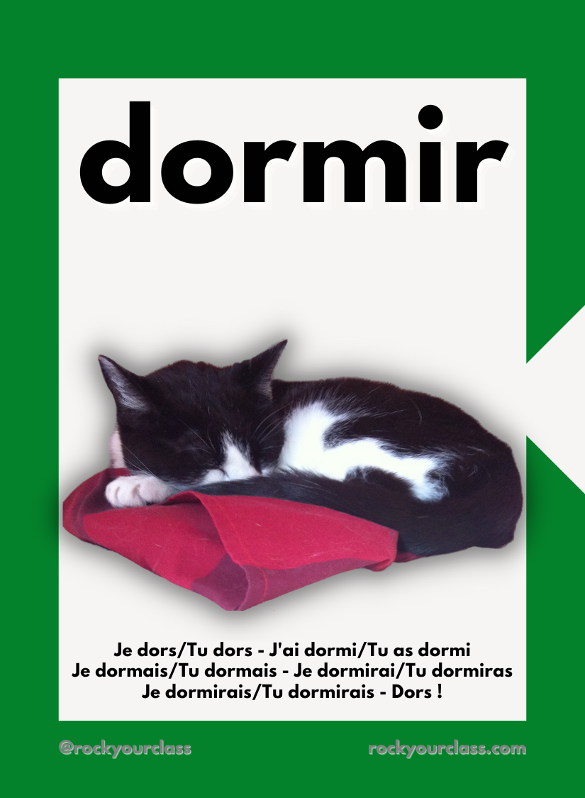 CACHE-CACHE CHEZ MOI - CONVO CARDS