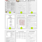 R4 - LES PRONOMS, LES VERBES EN -ER, -IR et -RE (Pré-A1 beginner to B2 advanced levels) FULL FOREVER RESOURCE PLATFORM ACCESS