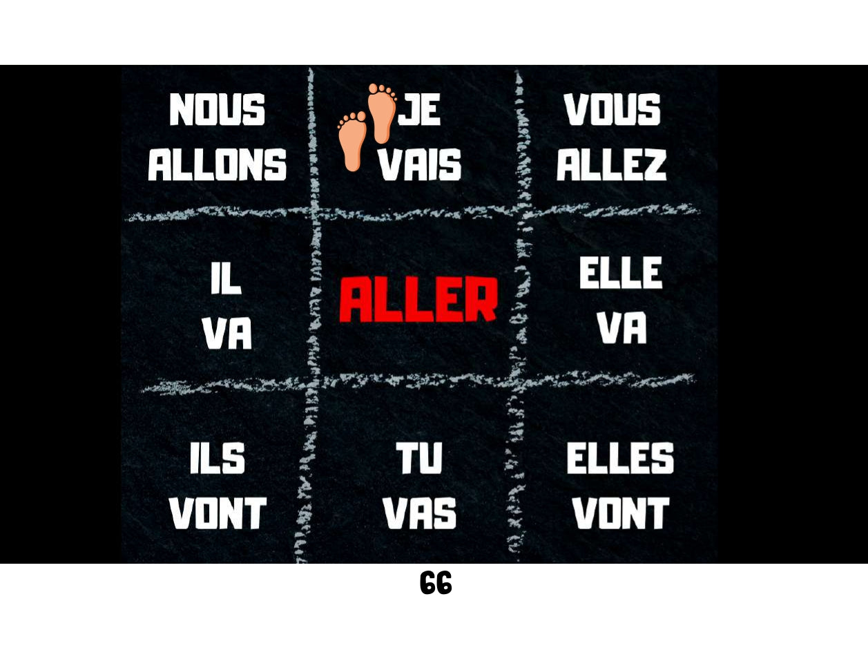 ALLER - ÉTIENNE Series - IC Reader - Single copy or Class sets of 20 or 30 with FULL FOREVER PLATFORM ACCESS INCLUDED ($100 value)